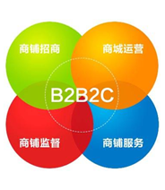 遼陽軟件定制開發(fā)哪家好？